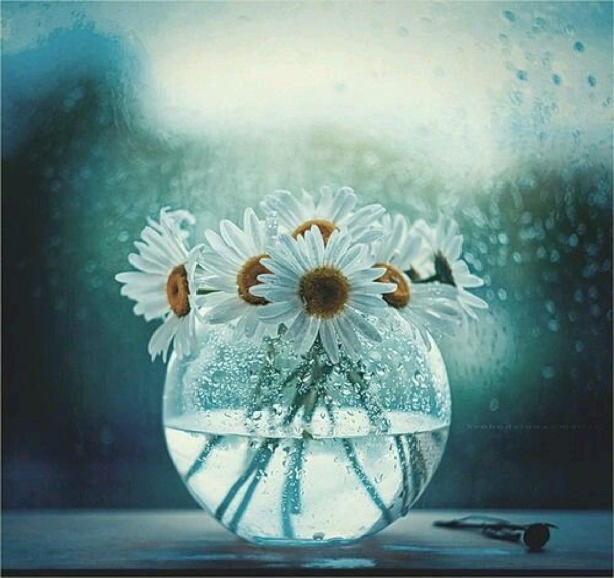 Жизнь прекрасна это факт