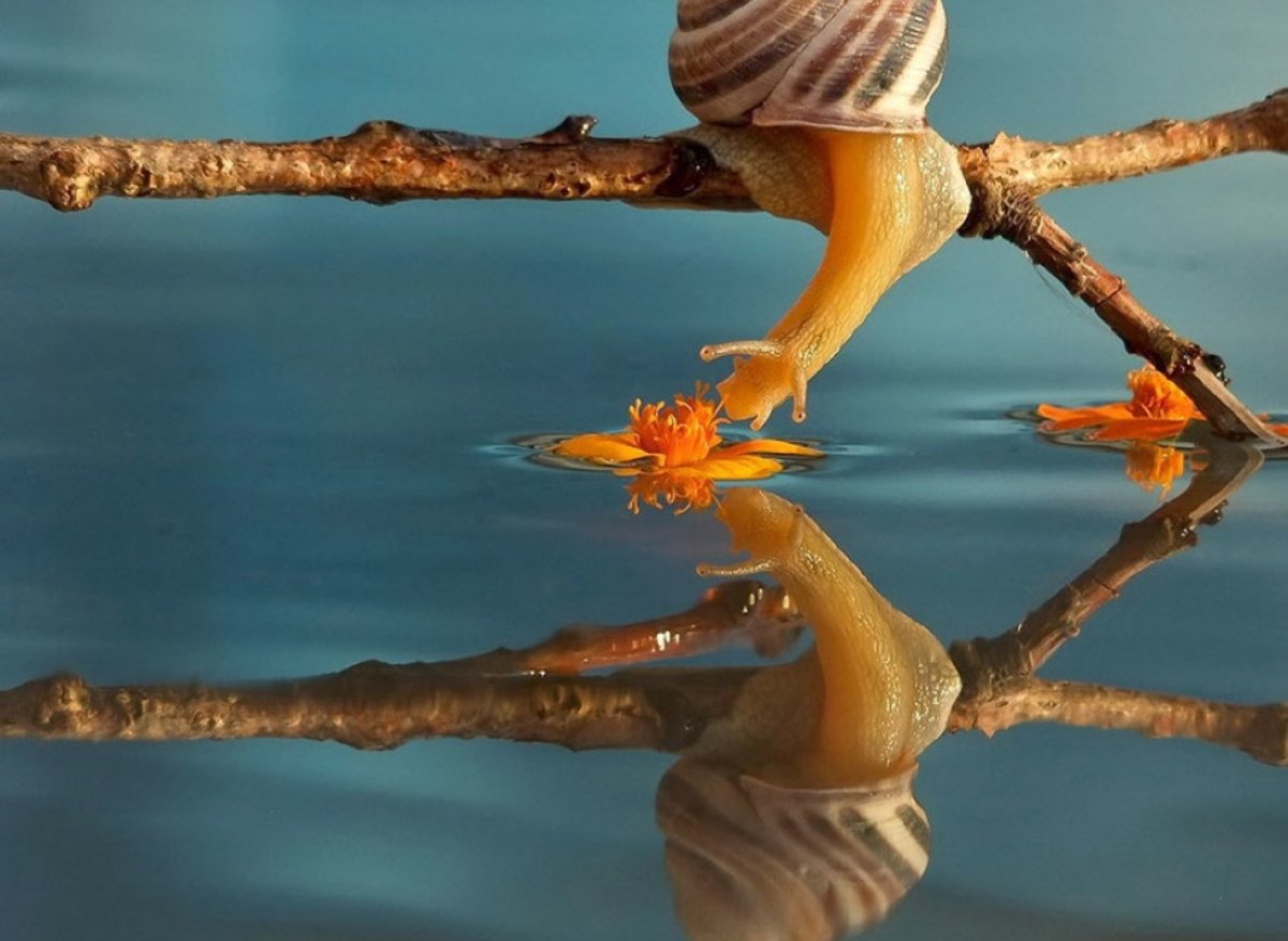 Мысли материальны мечты сбываются