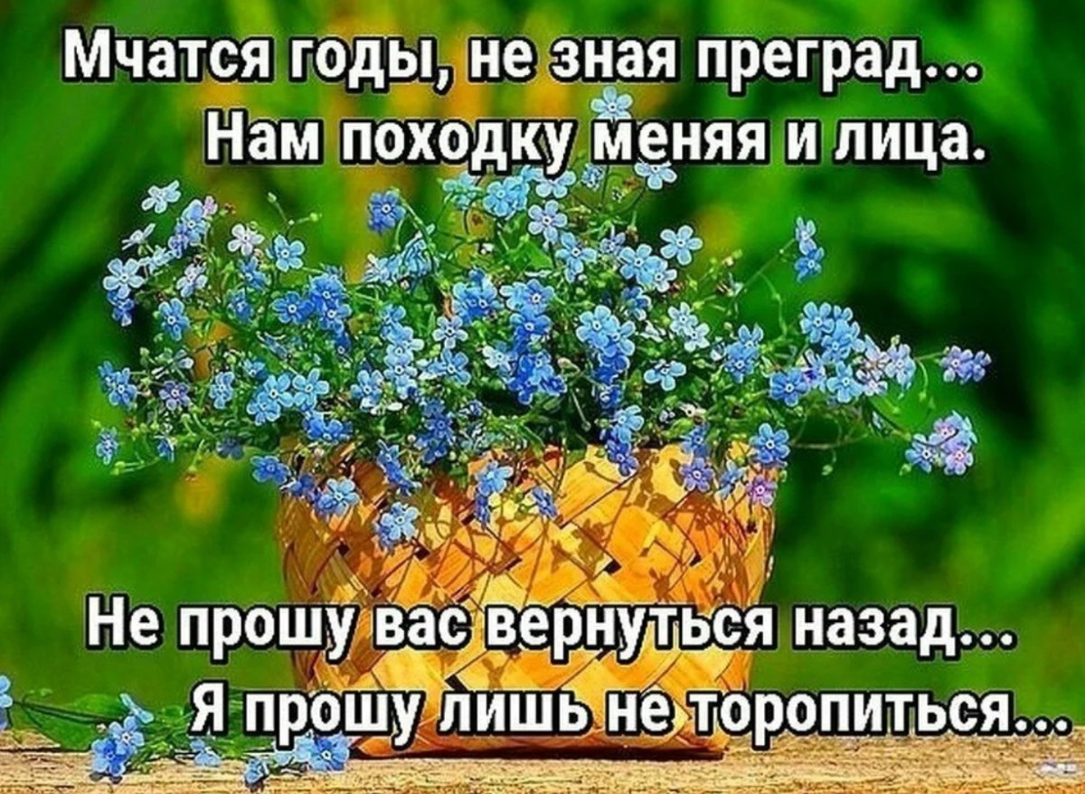 Цитаты про моменты жизни