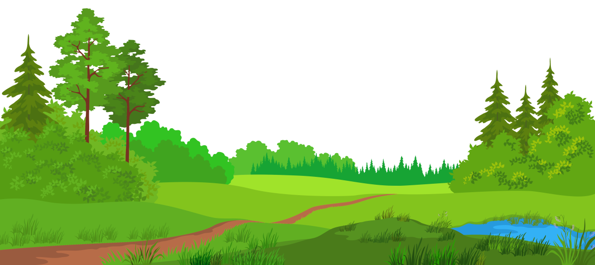 Лес Хаяо Миядзаки