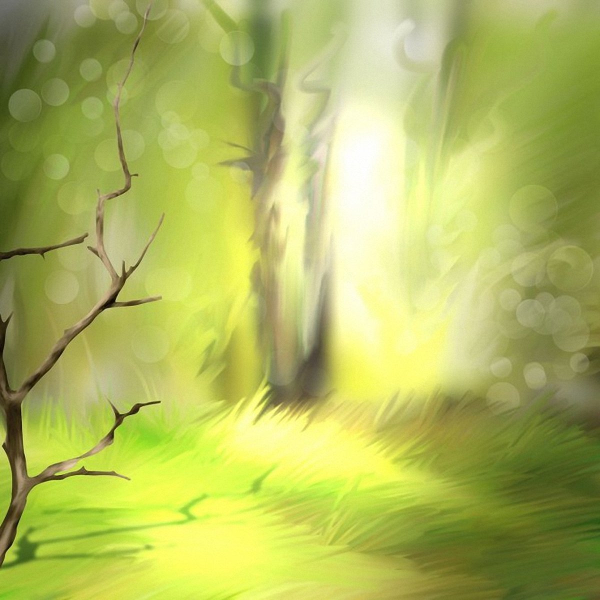 Лес из сказки