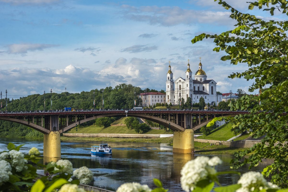 Витебск Золотогорская
