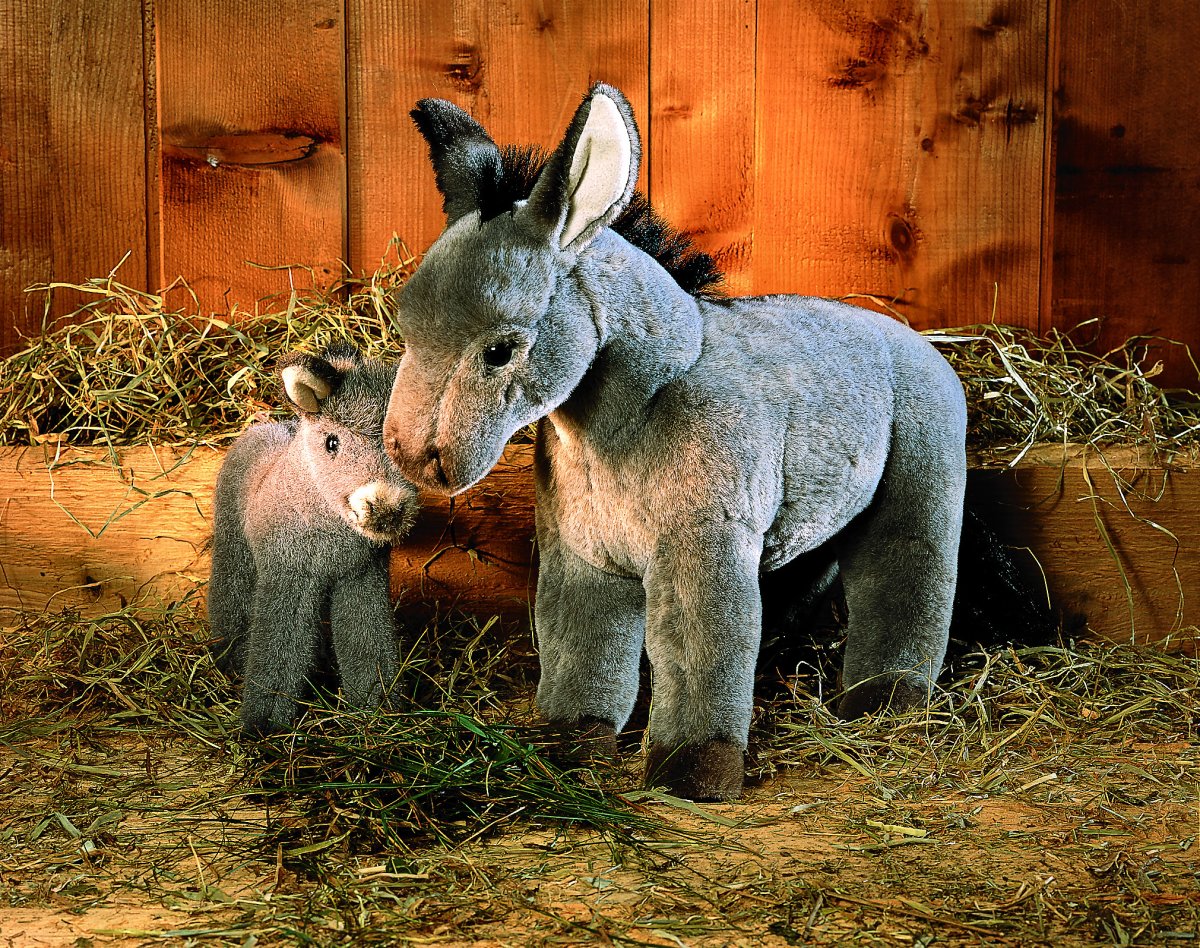 Ослик живой