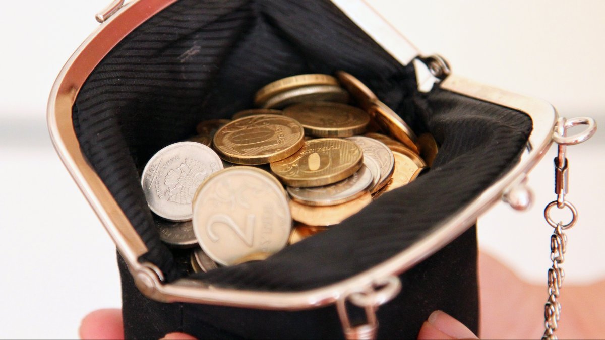 Бюджет картинки