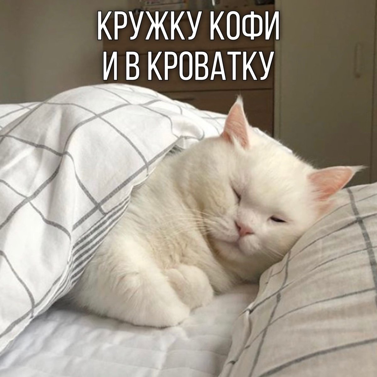 Gidayyat Лунная