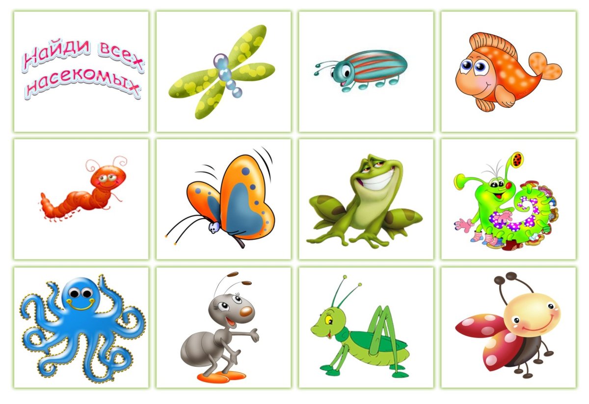 Ползающие насекомые для дошкольников