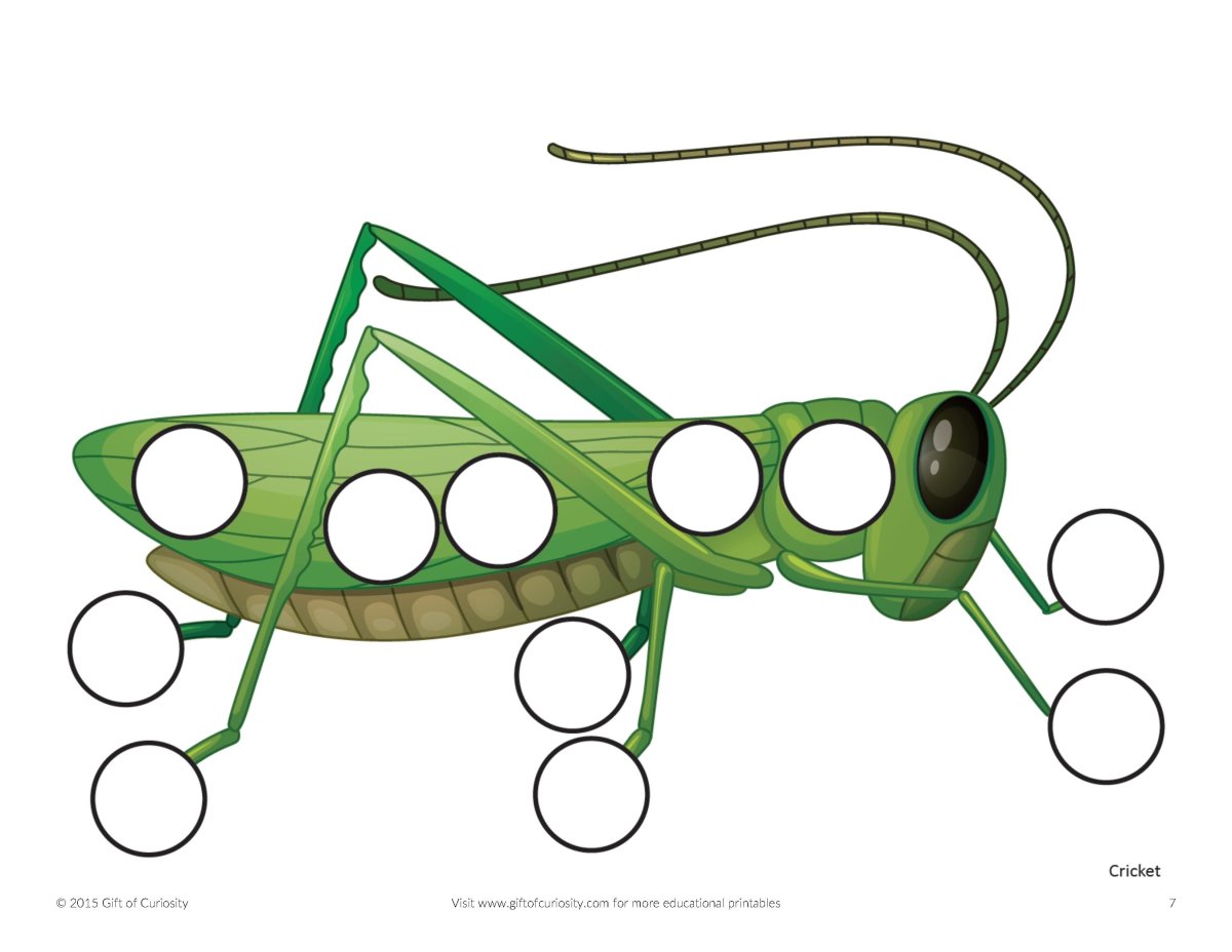 Кузнечик задания для малышей
