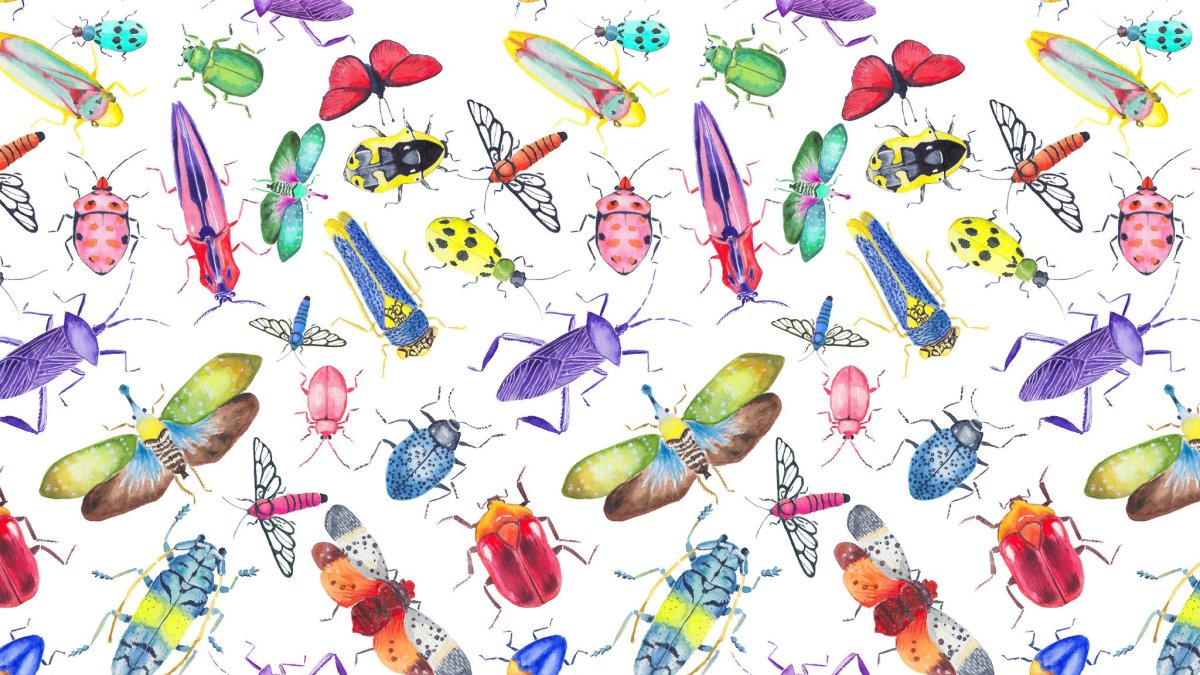 Паттерн насекомые