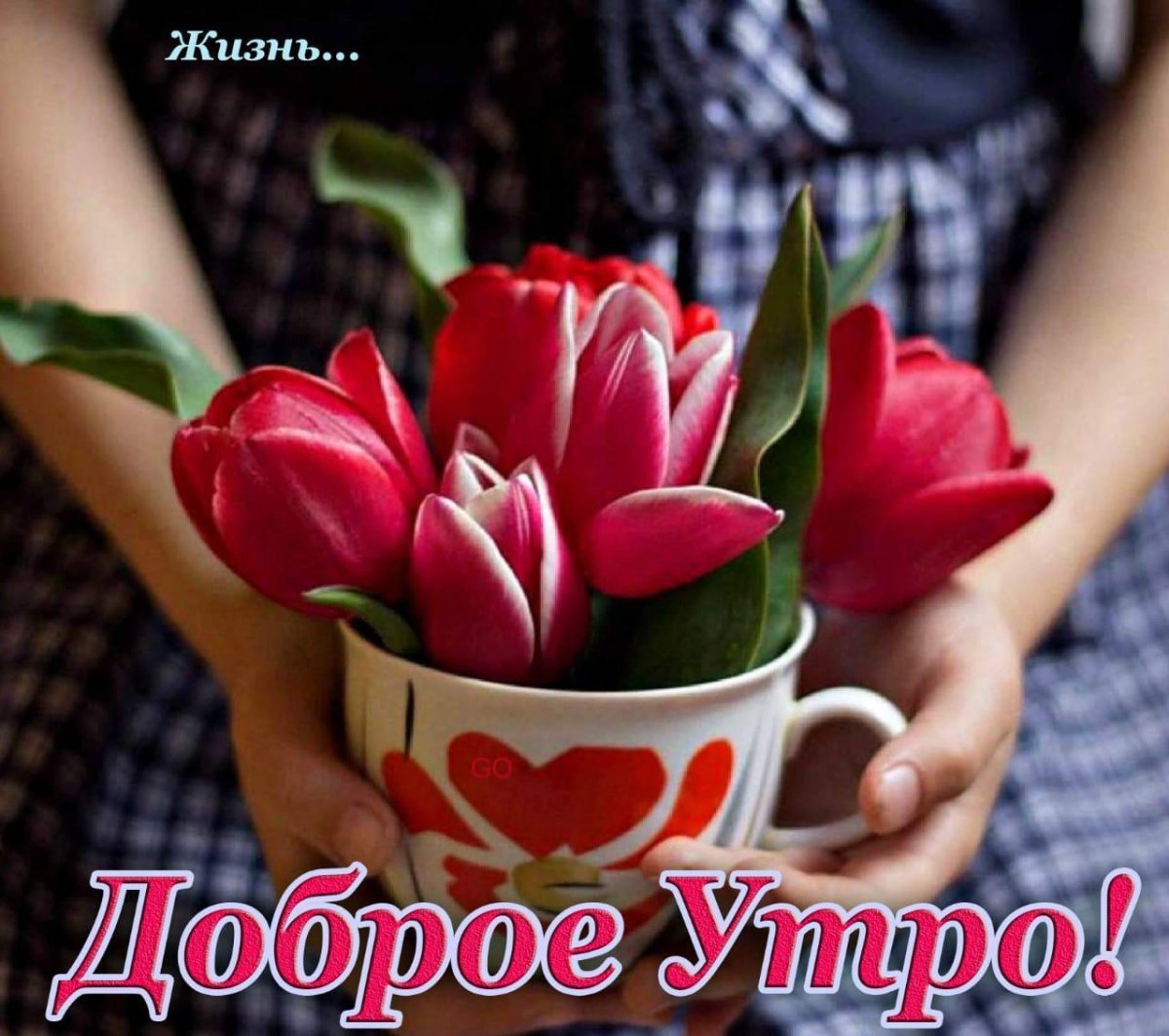 Тюльпаны в кружке