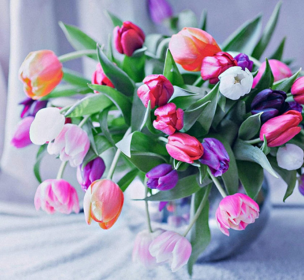Букет тюльпанов с добрым утром