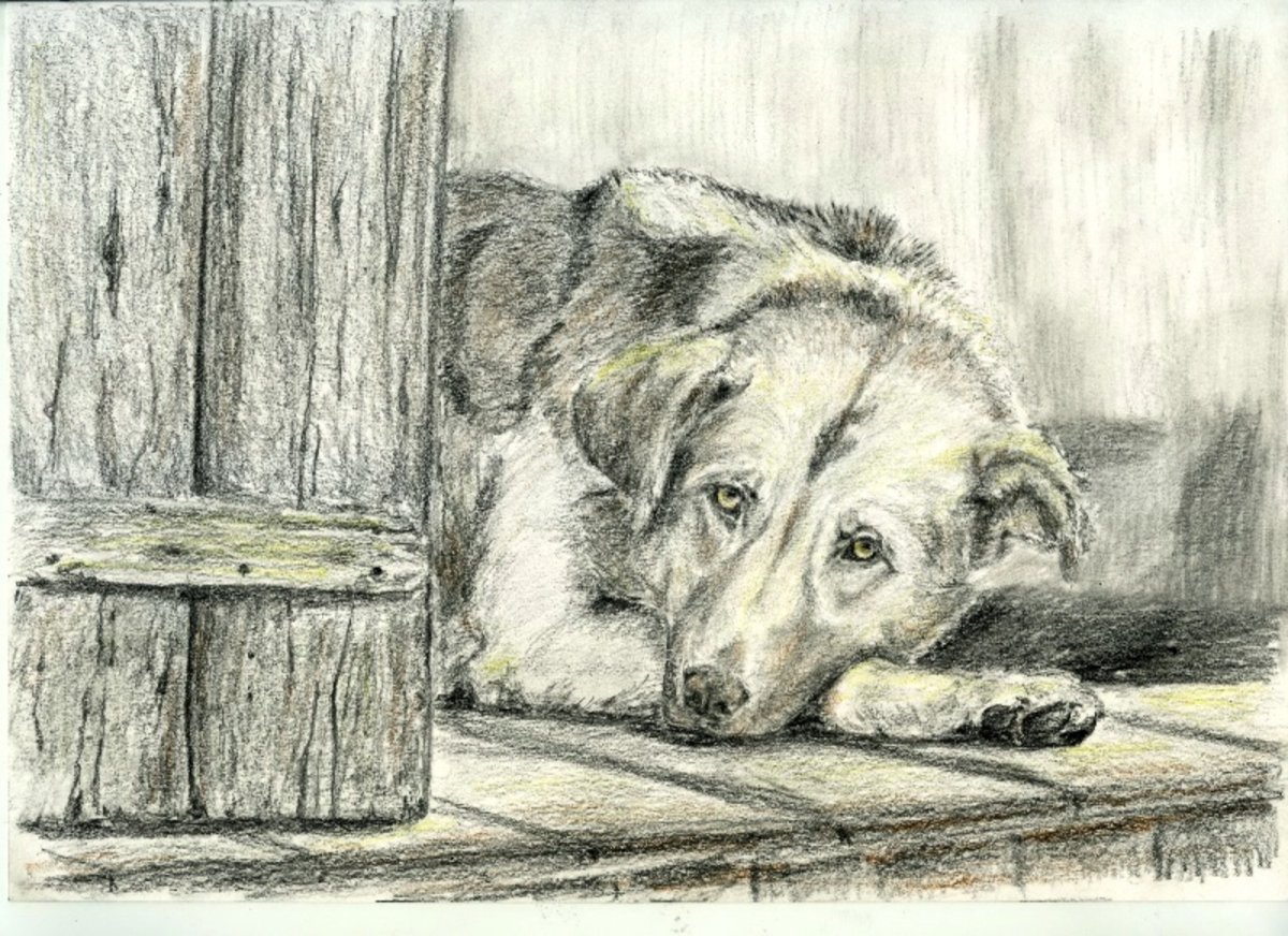 Раскраска Барбос собака