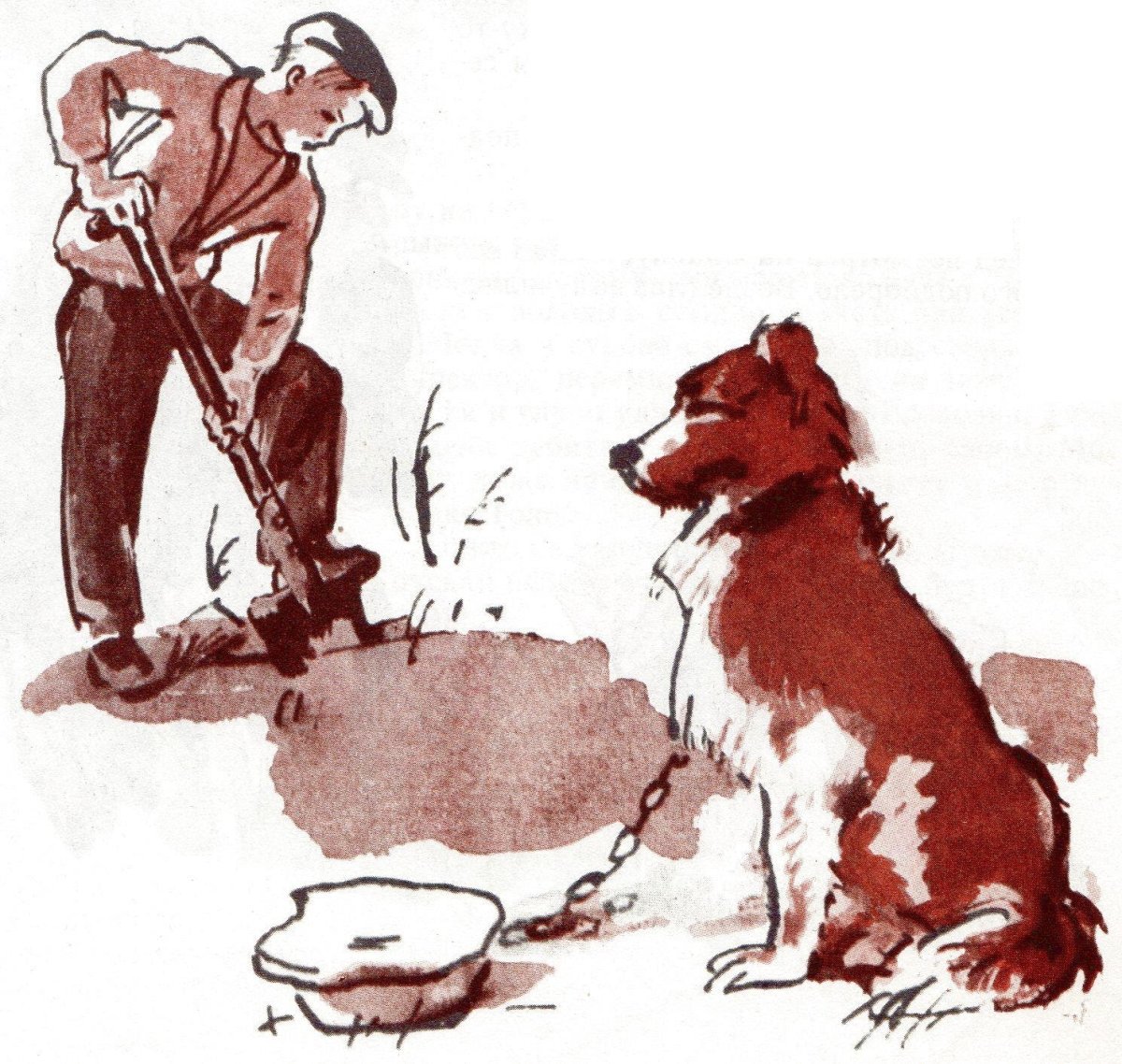 Куприн Барбос и Жулька раскраска