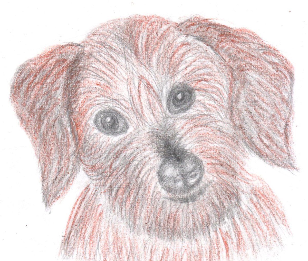 Иллюстрация к рассказу малька провинилась