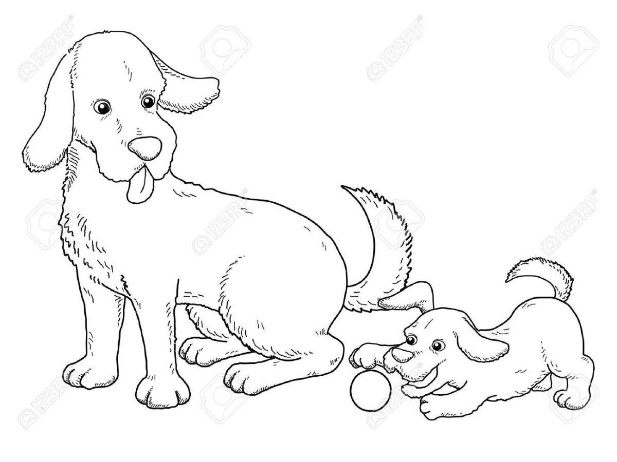 Бобик в гостях у Барбоса рисунок