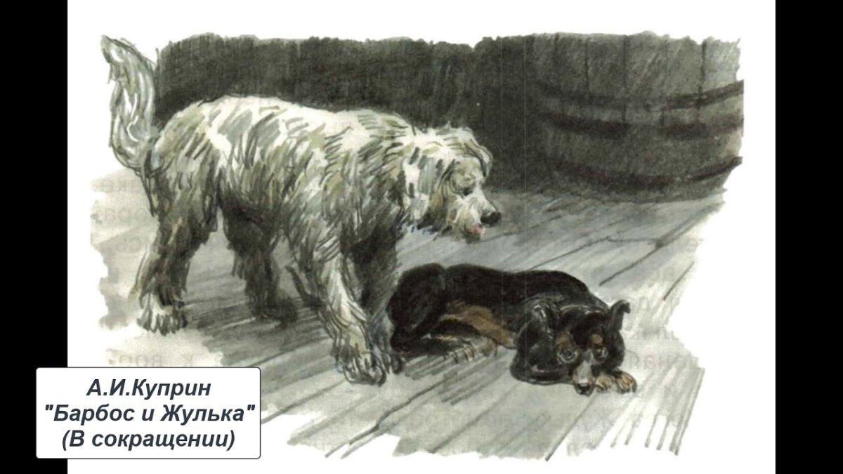 Куприн Барбос и Жулька иллюстрации