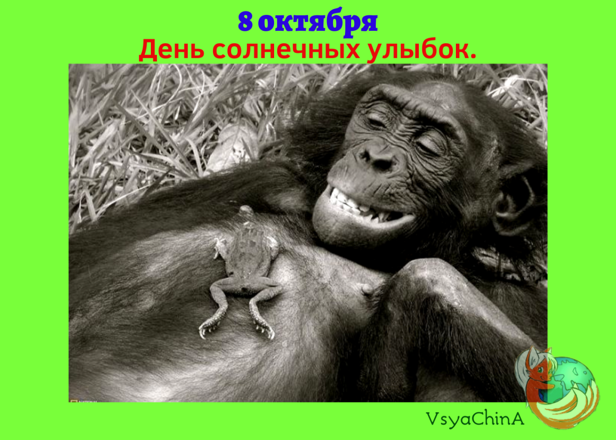 Лягушка пикча