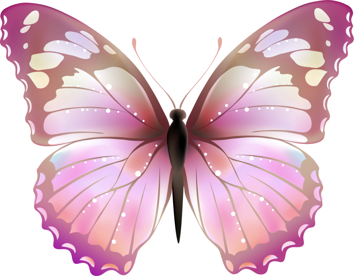 Розовые бабочки. Красивые розовые бабочки. Розовые бабочки на белом фоне. Бабочки нежно розовые.