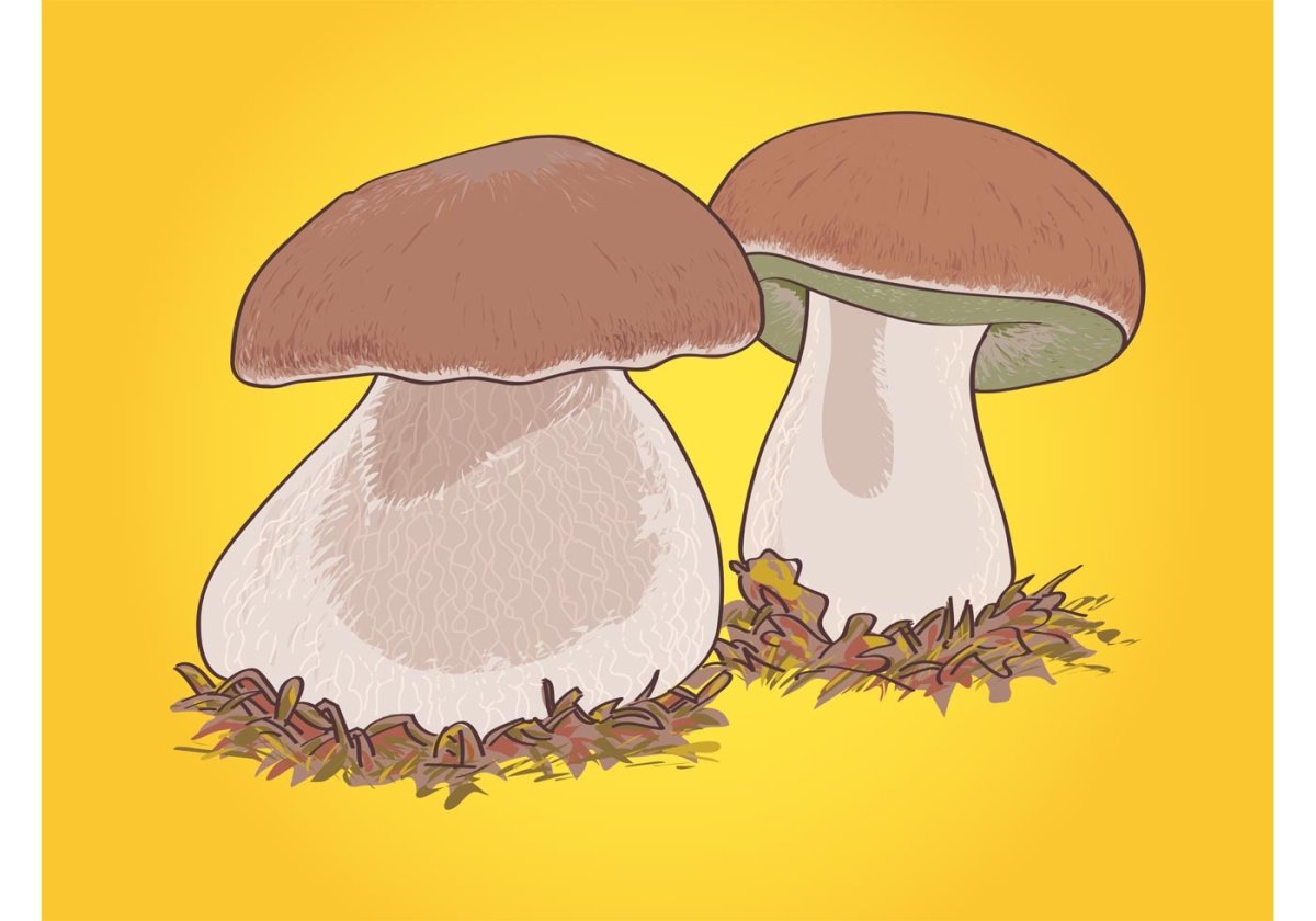 Рисование грибов