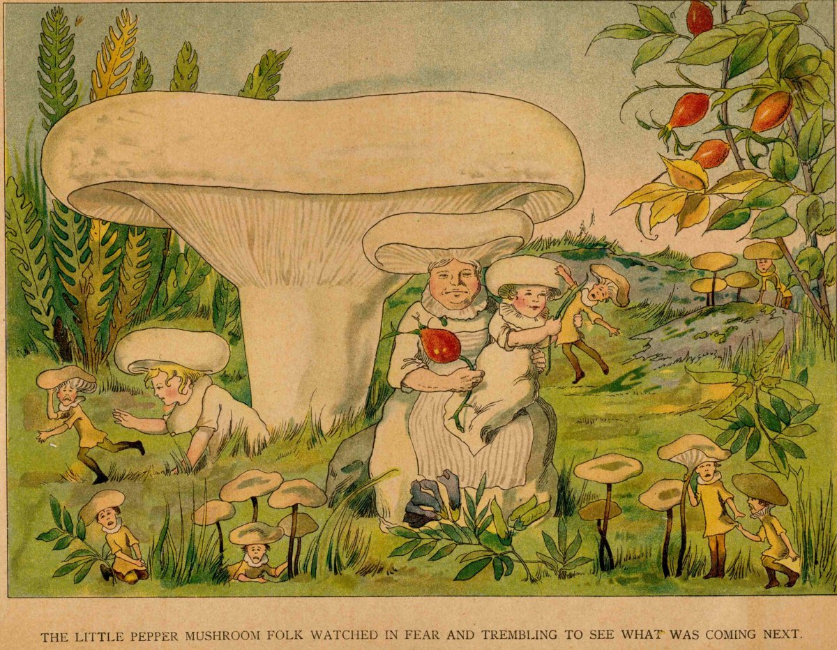 Грибная сказка