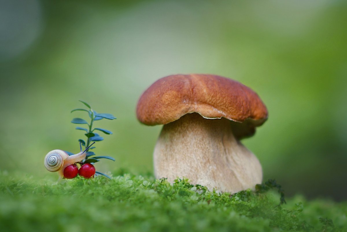 Александр гвоздь фотограф