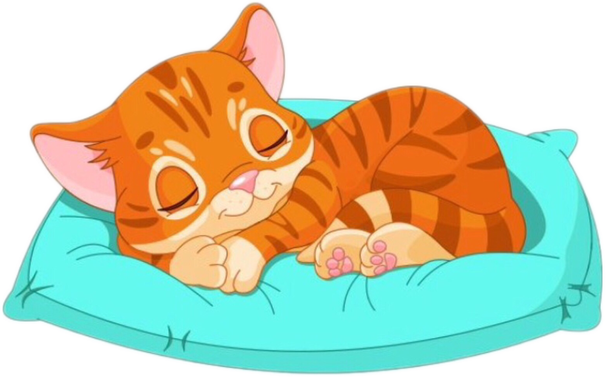 Кот на подушке мультяшный