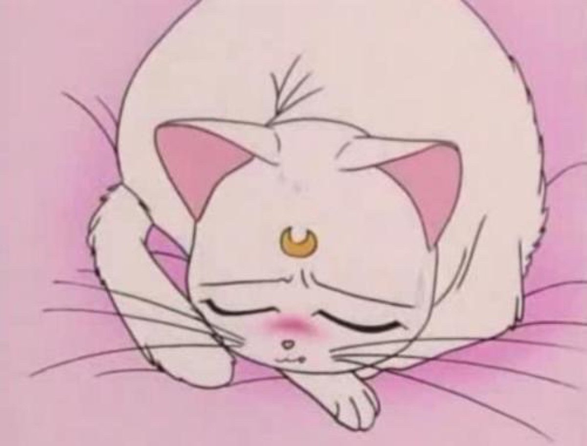 Луна сейлормун кошка Эстетика