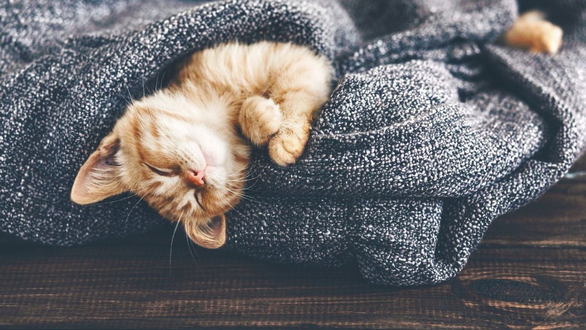 Коврик Sonnen Leopard 513314