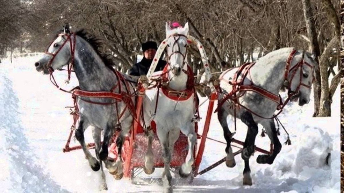 Новогодняя тройка лошадей