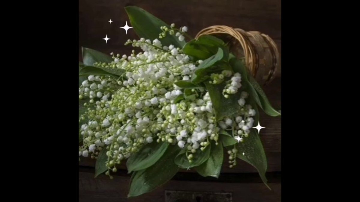 Людмила Костюченко Фотонатюрморты