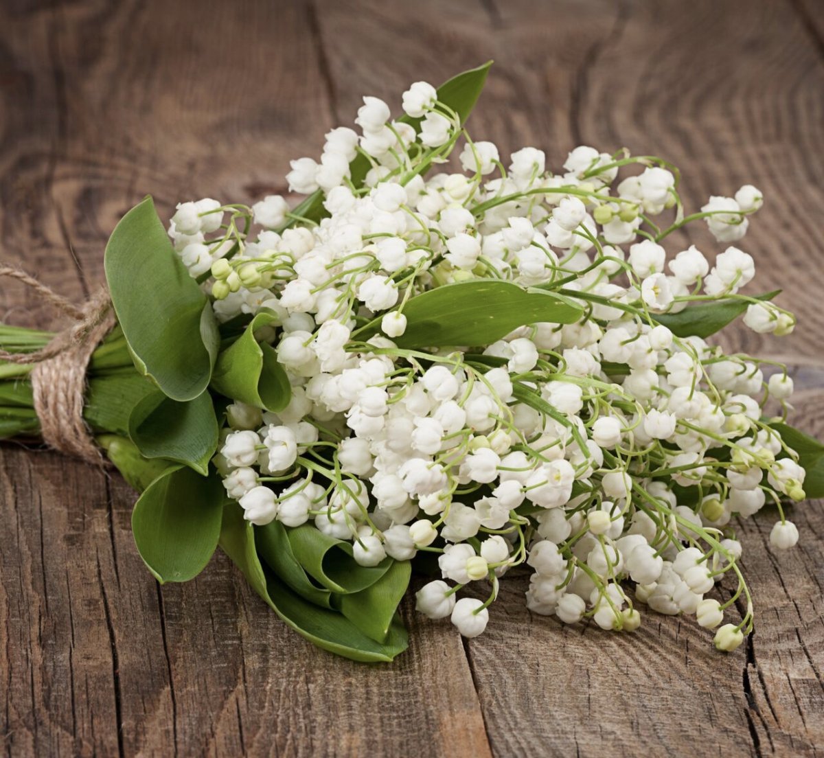 Мозаика Фрея Ландыши