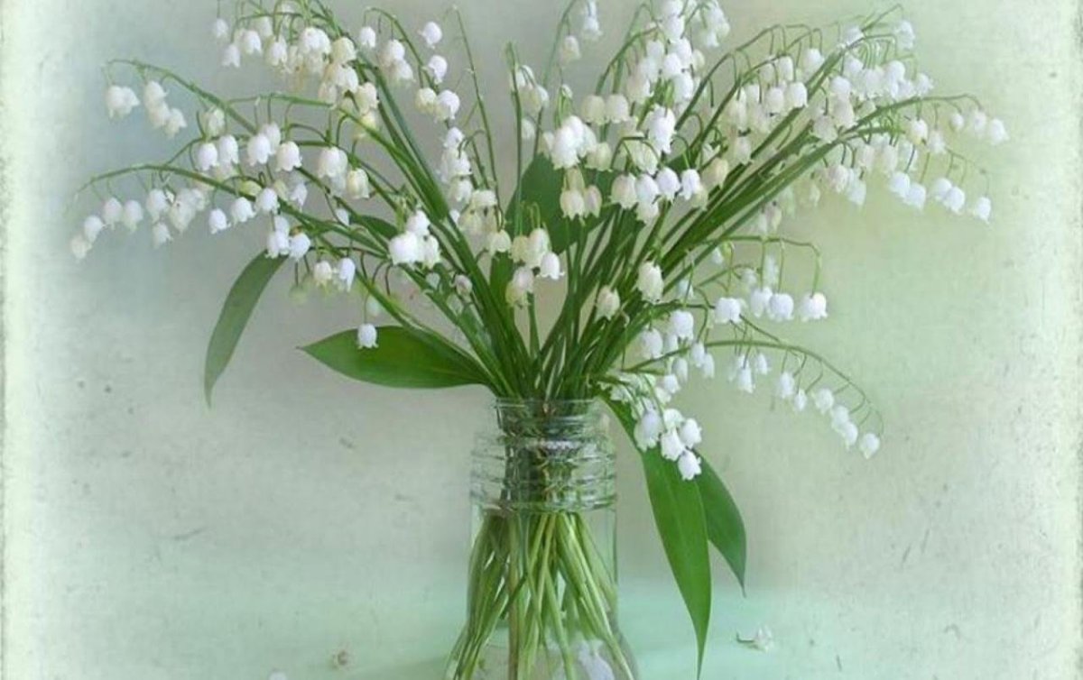 Луиза Гельтс Ландыши