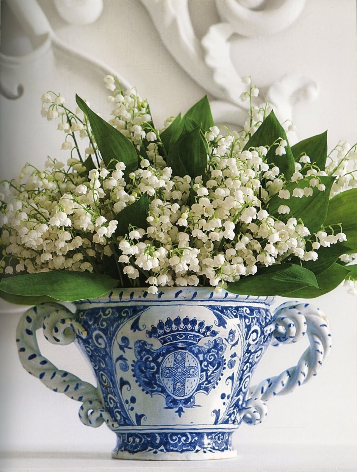 Фиалка Ле Ландыши