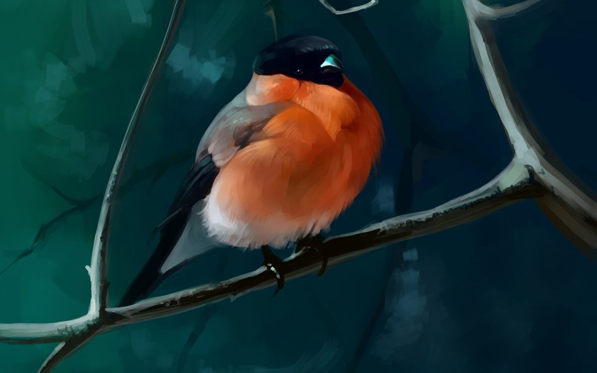 Обои на рабочий стол Снегири