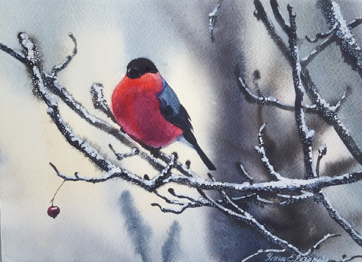 Два снегиря на ветке живопись акварель