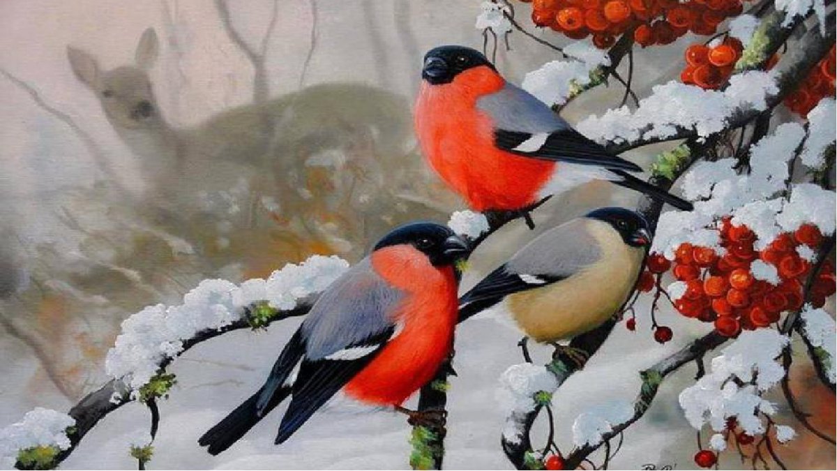 Снегири на ветке