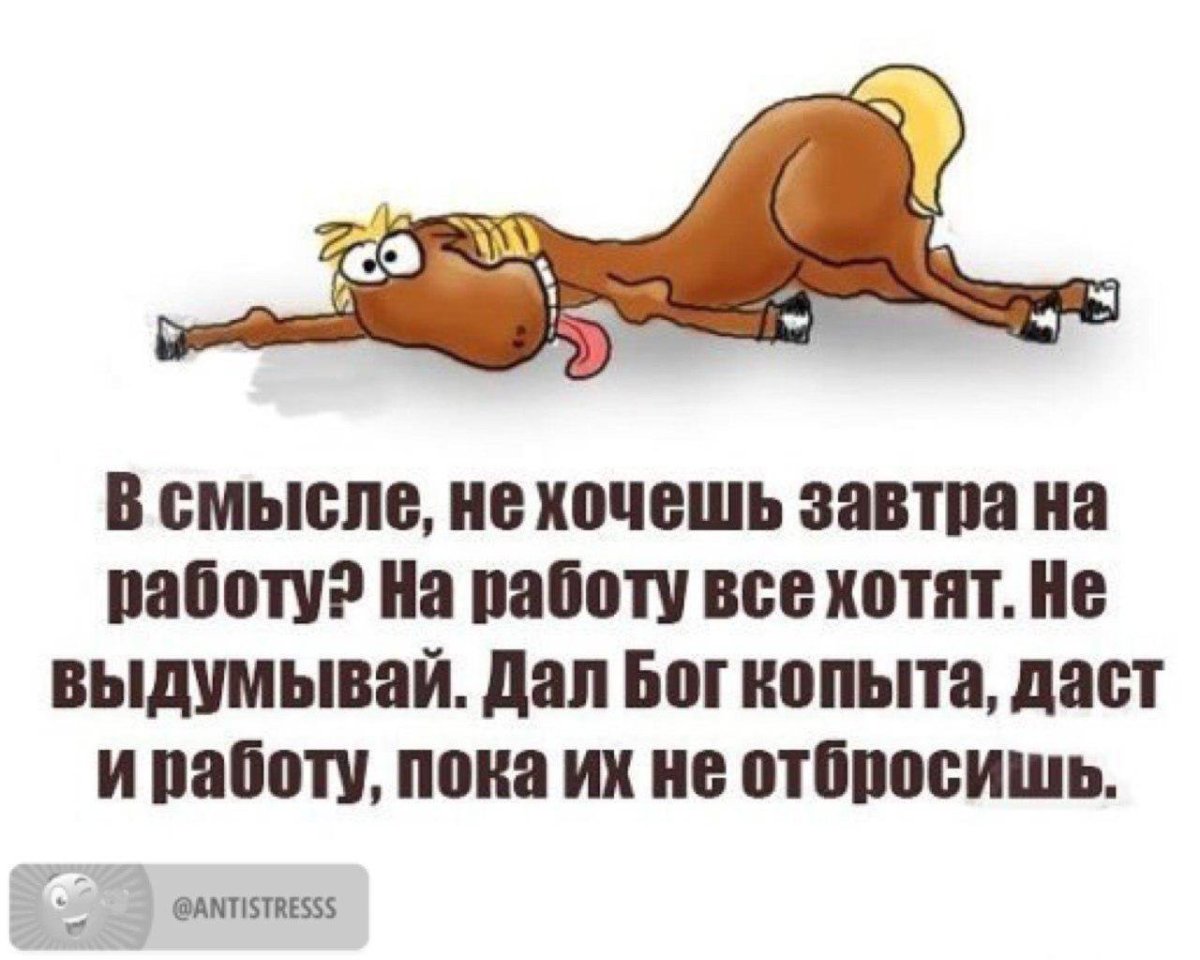 Суббота приколы