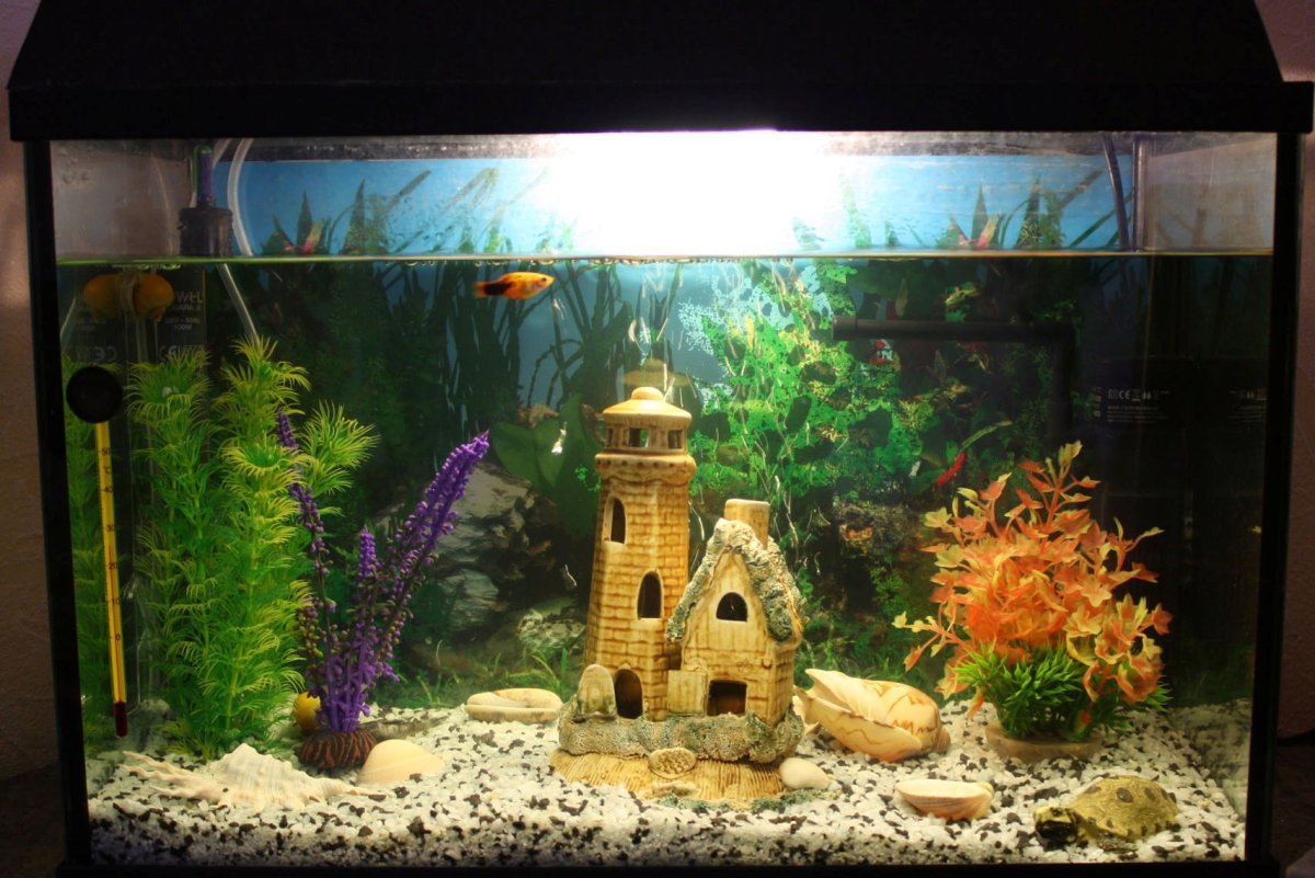 Украшения для аквариума