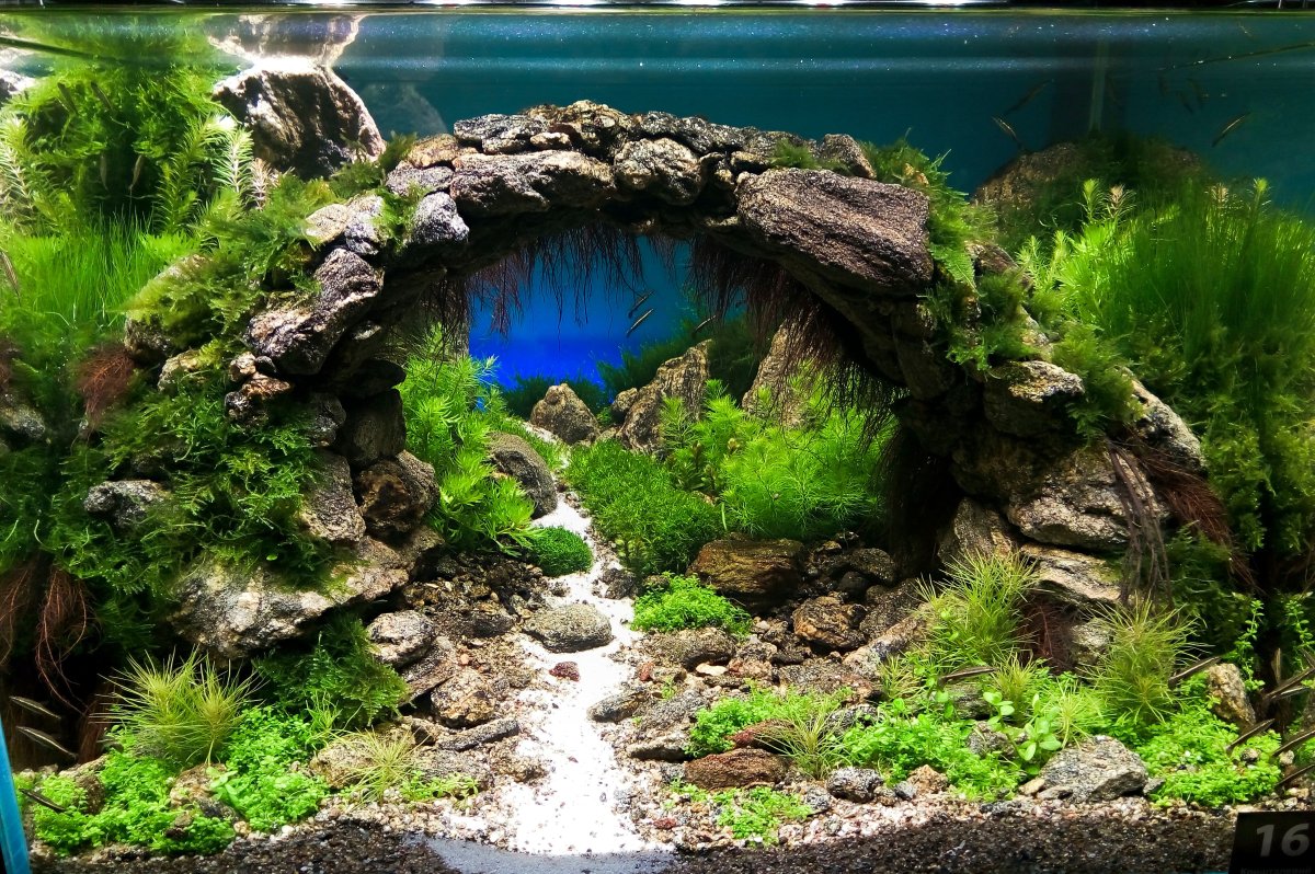 Акваскейп псевдоморе рифы