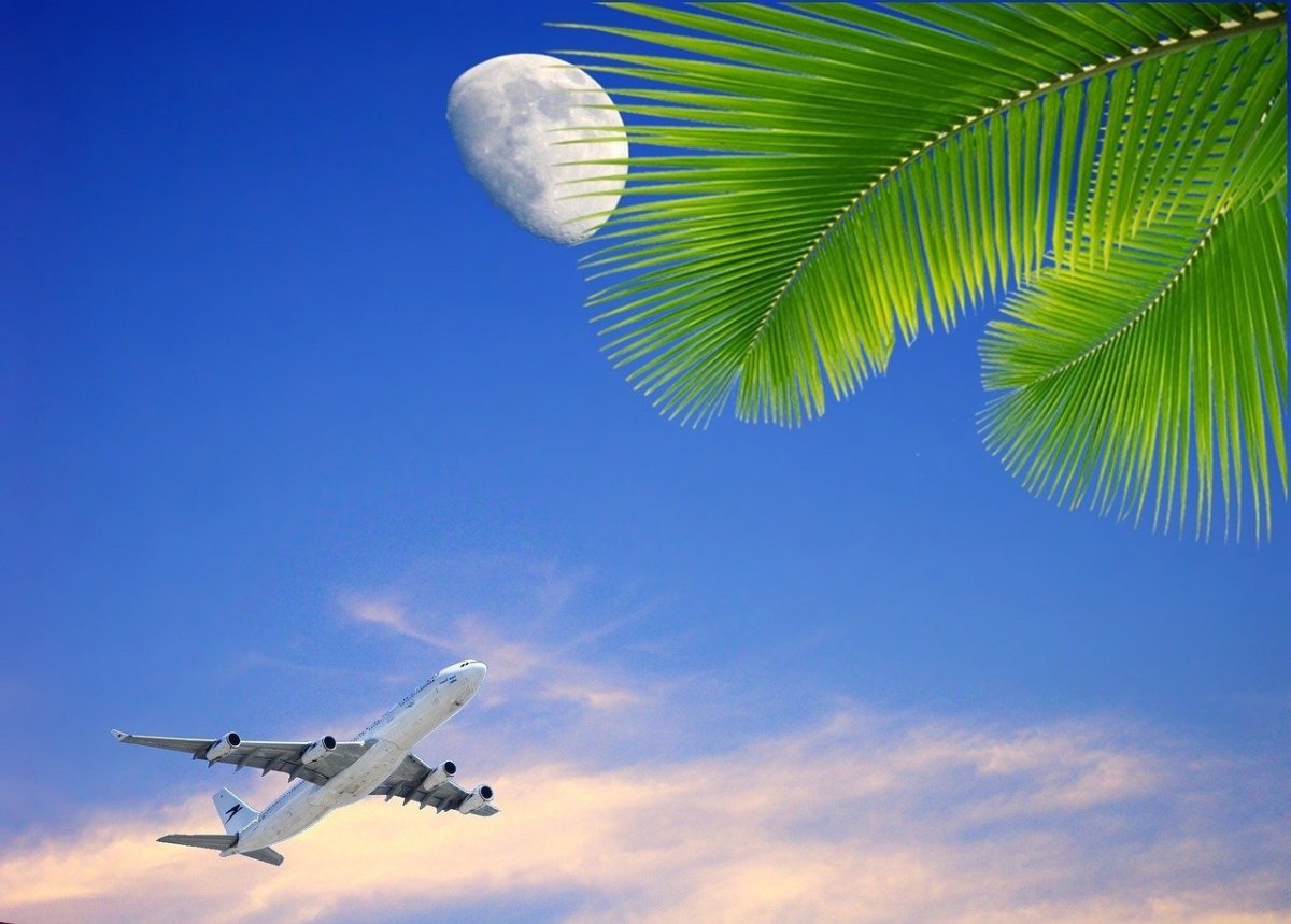 Самолет в небе