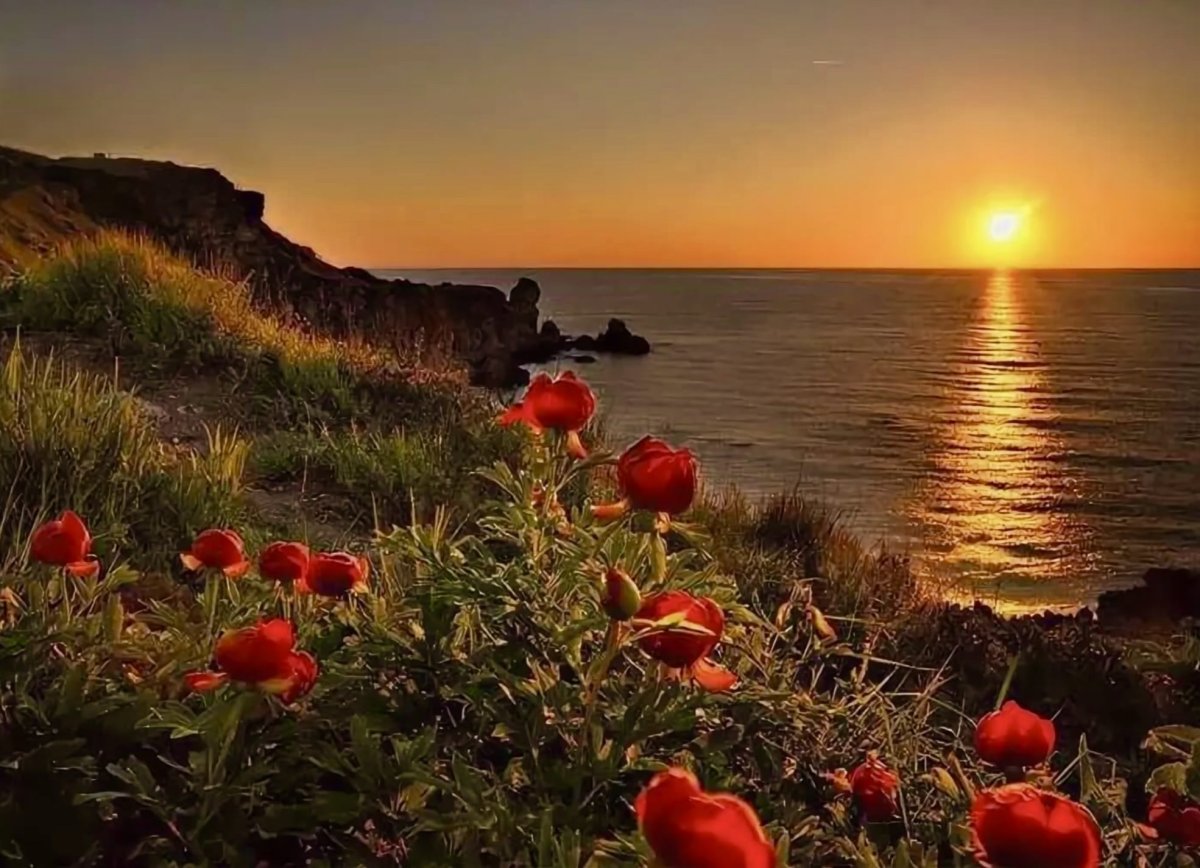 Добрый вечер море