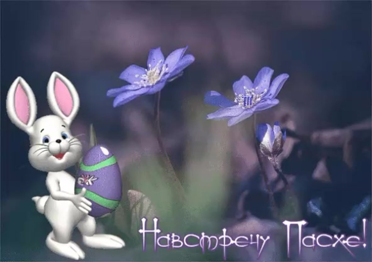 Открытки пока пока до встречи