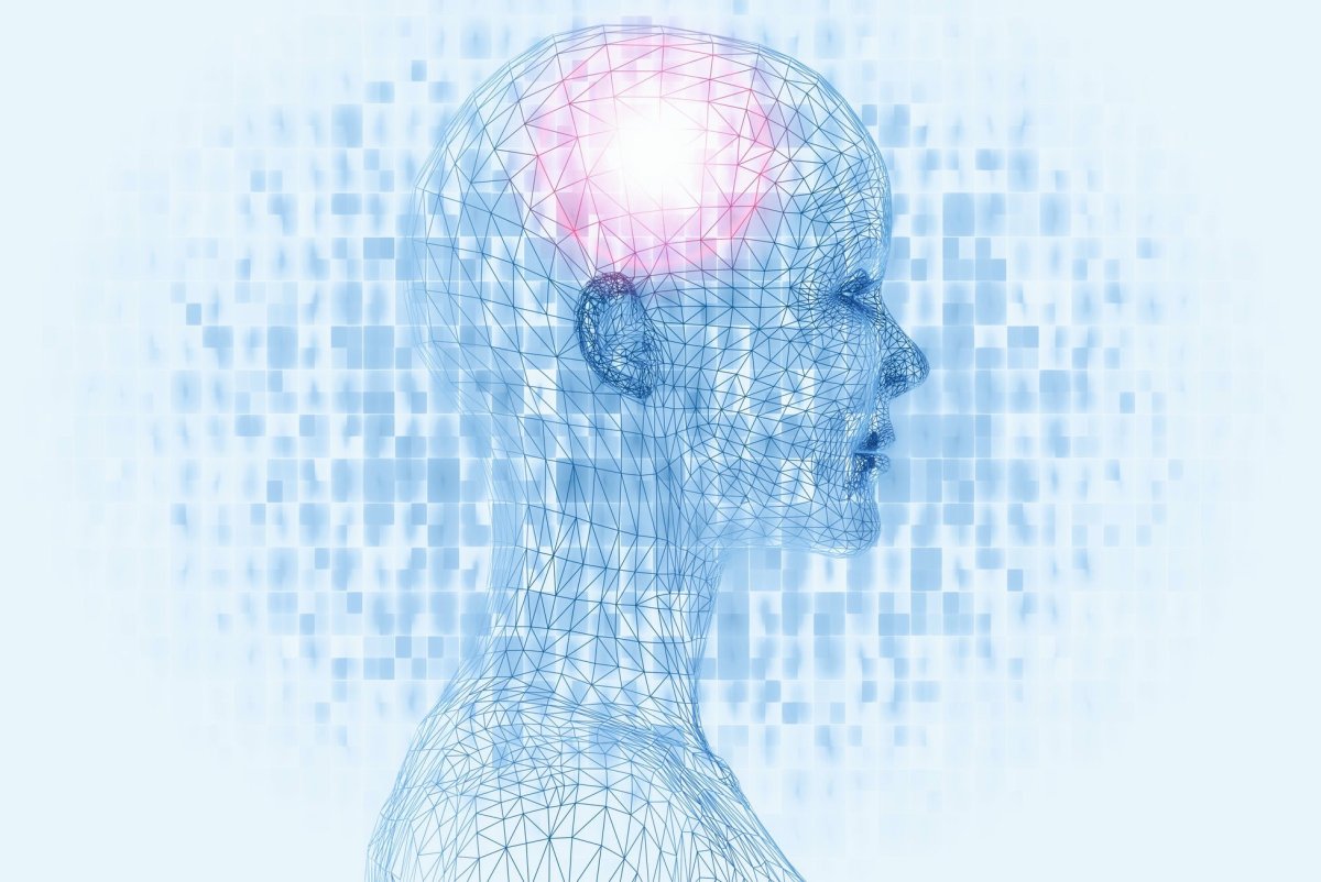 Цифровая голова