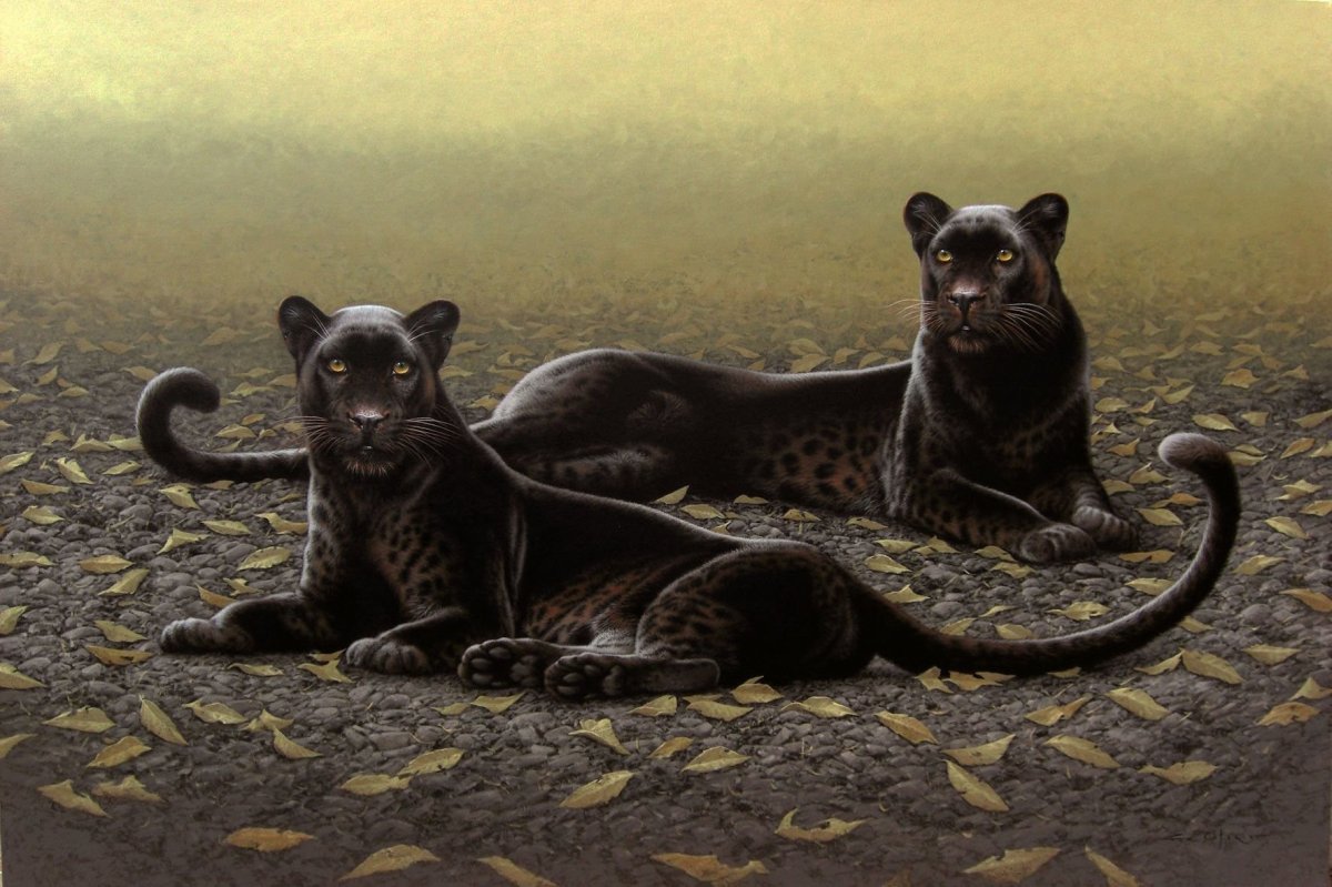 Фабрицио Кафорио художник