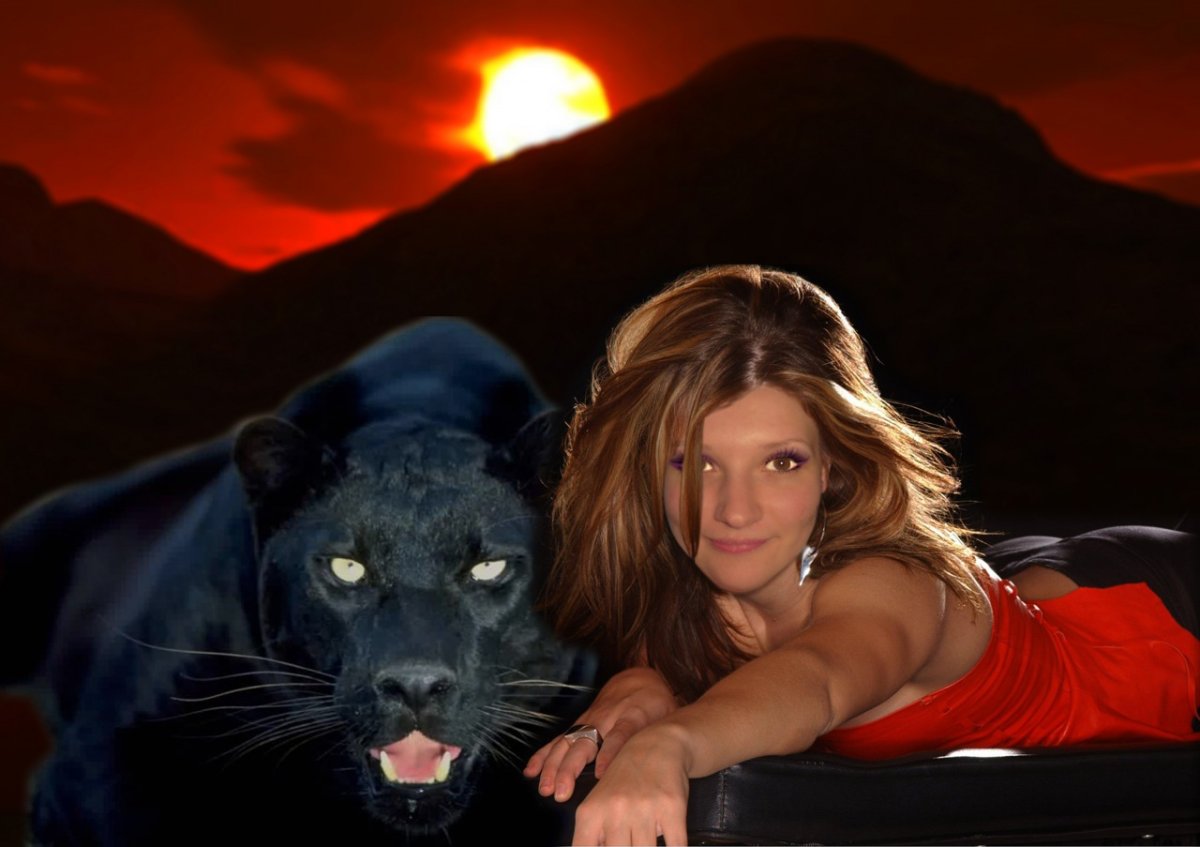 Красивые силуэты животных