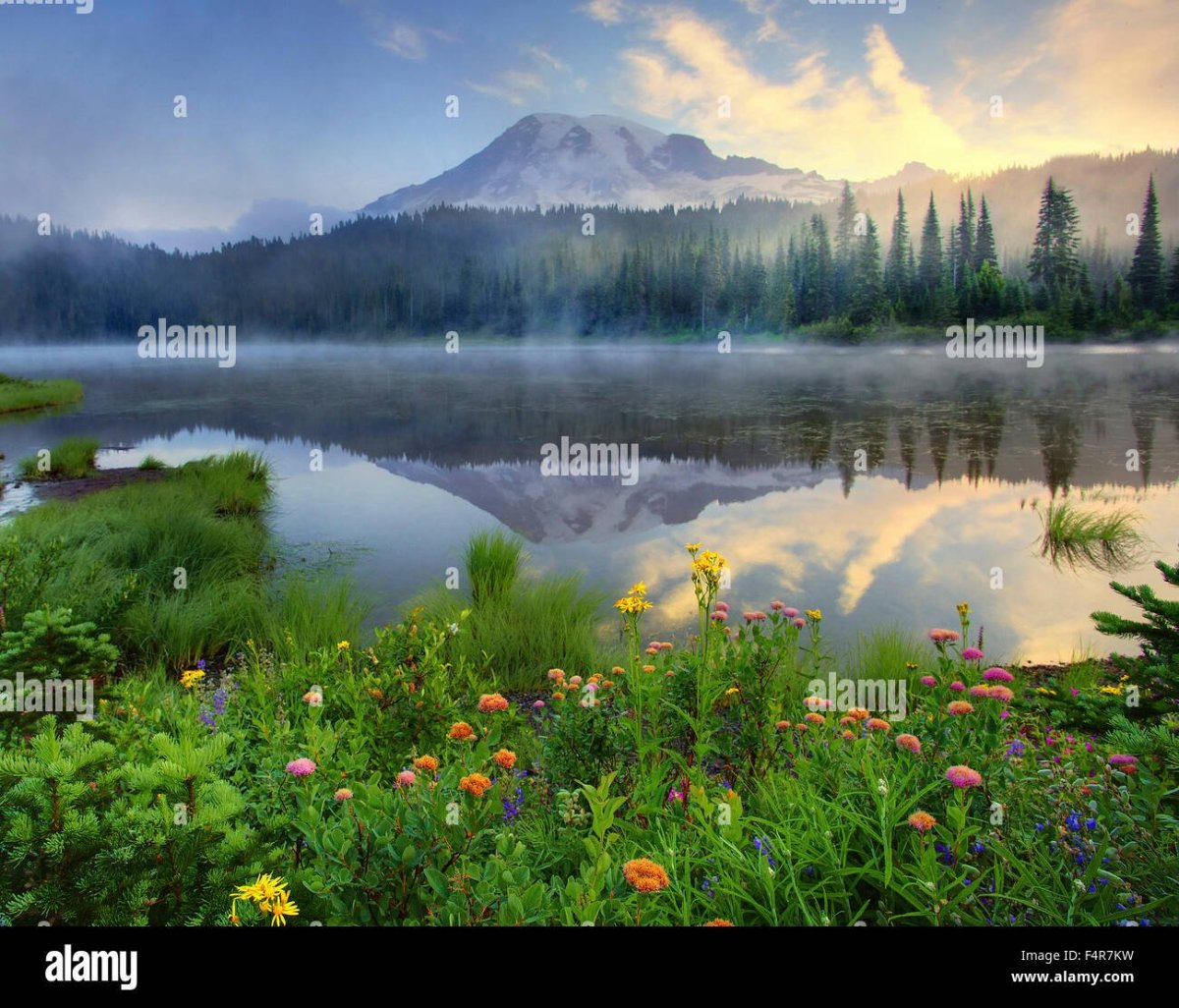 Пейзажи Кевина Макнила
