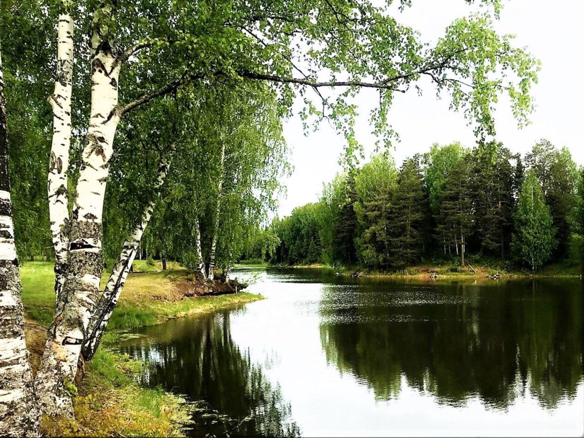 Река берёза Тверская область