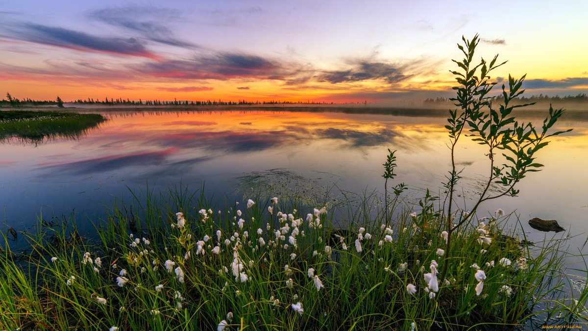 Василий Дмитриевич Золотая осень