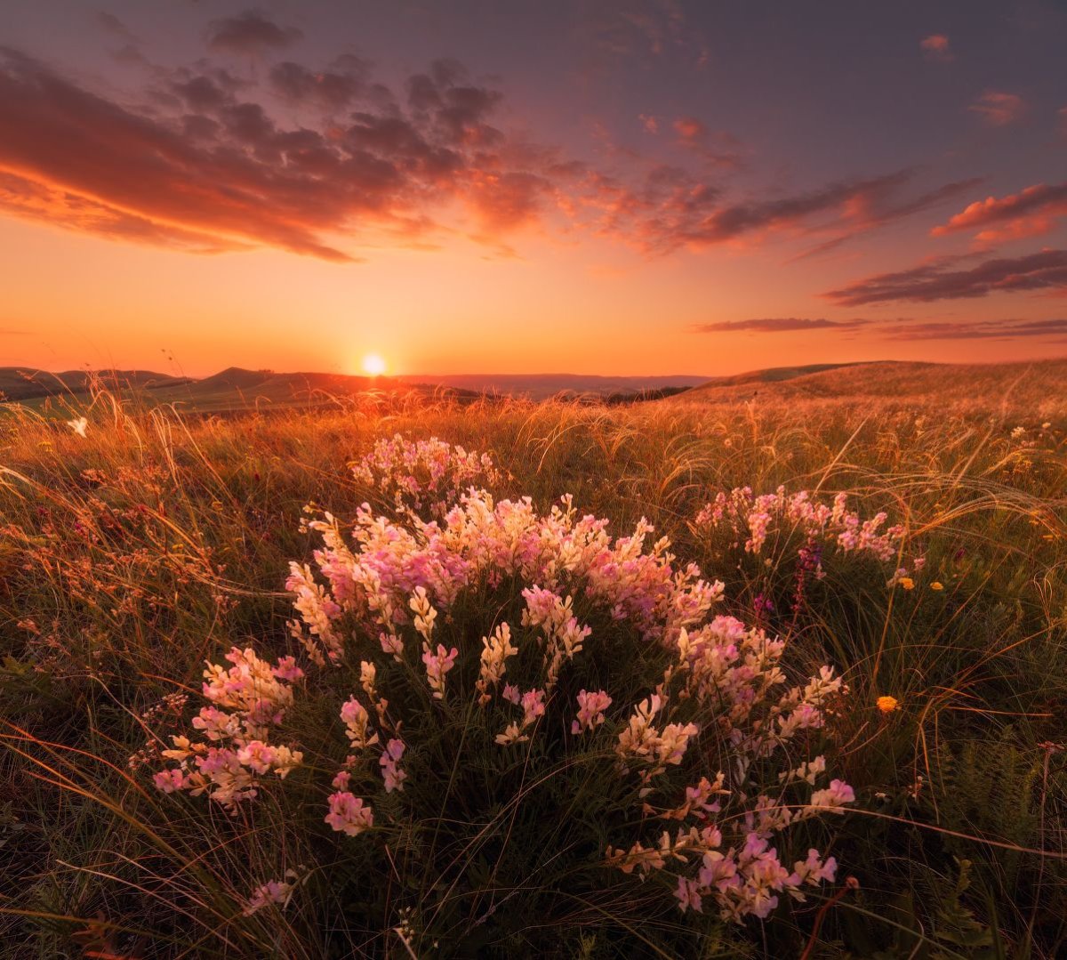 Нежный пейзаж