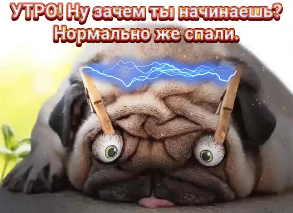 Шутки про вторник