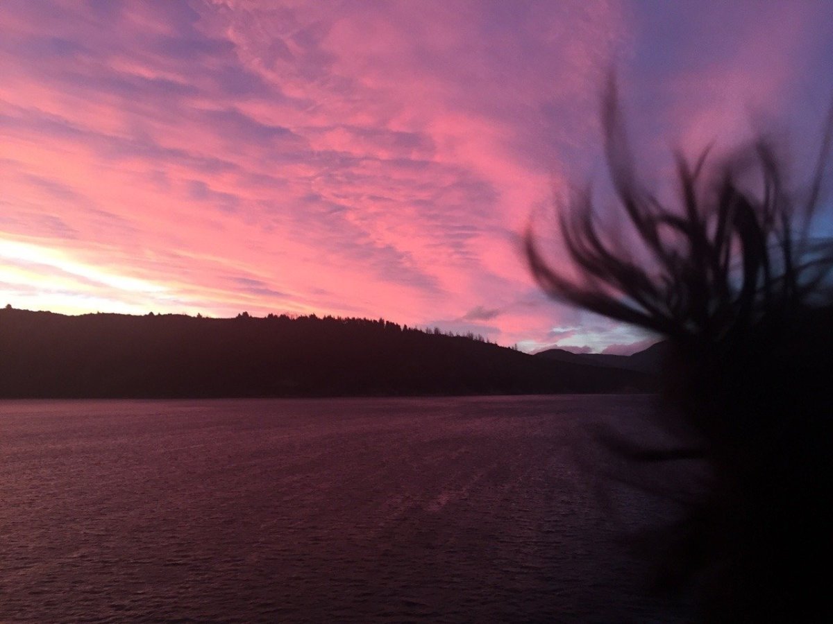 Розовый закат